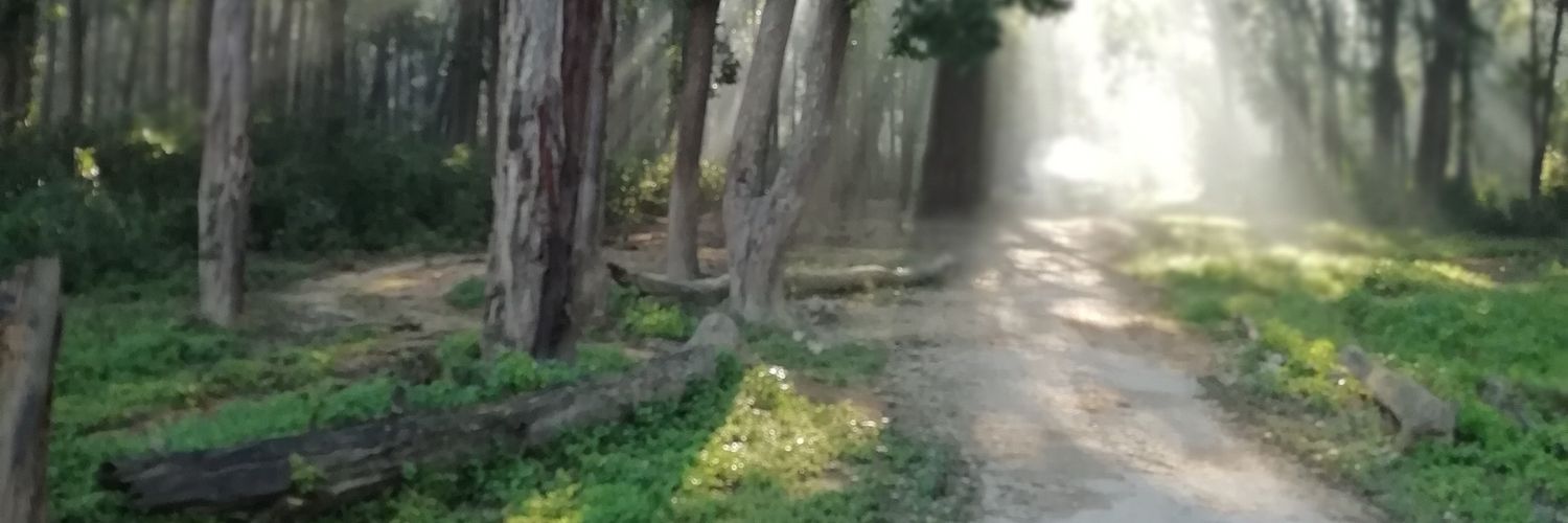 nksriv's profile banner image