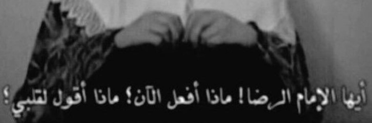 𓃗. banner