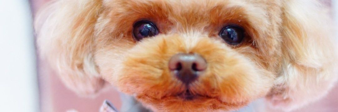 Tok_kun_'s profile banner image