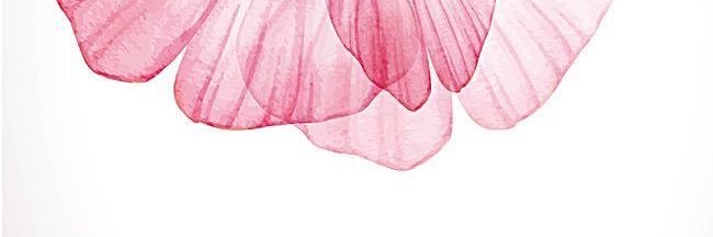 karla_arcOs's profile banner image