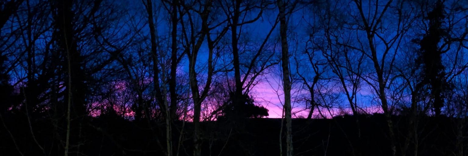 AaAllman123's profile banner image