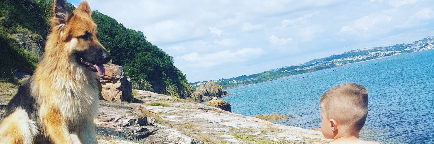 LakeSteph's profile banner image