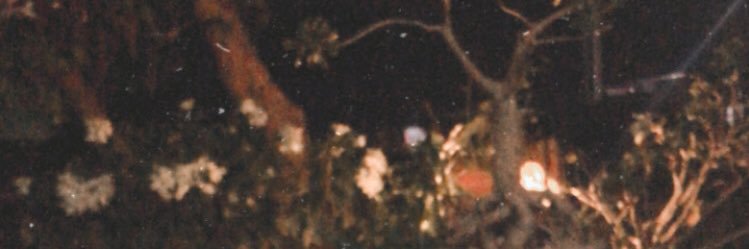 chantikaningrm's profile banner image