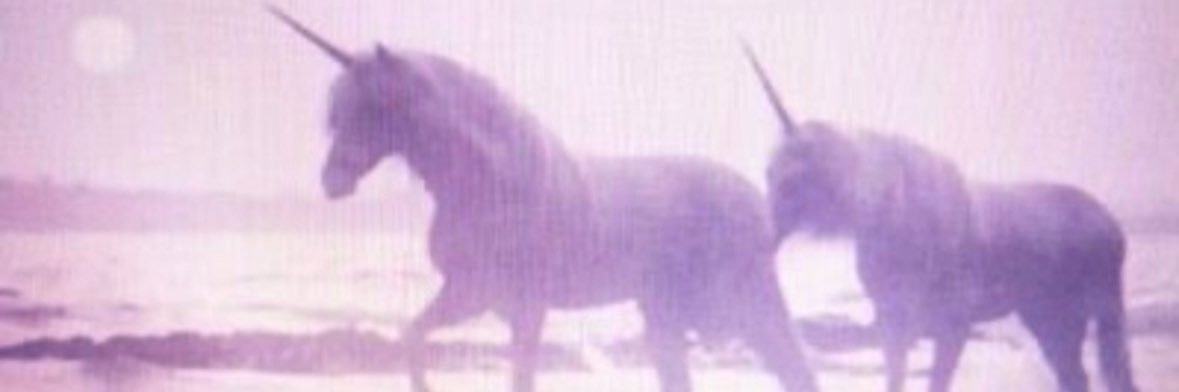 pilar banner