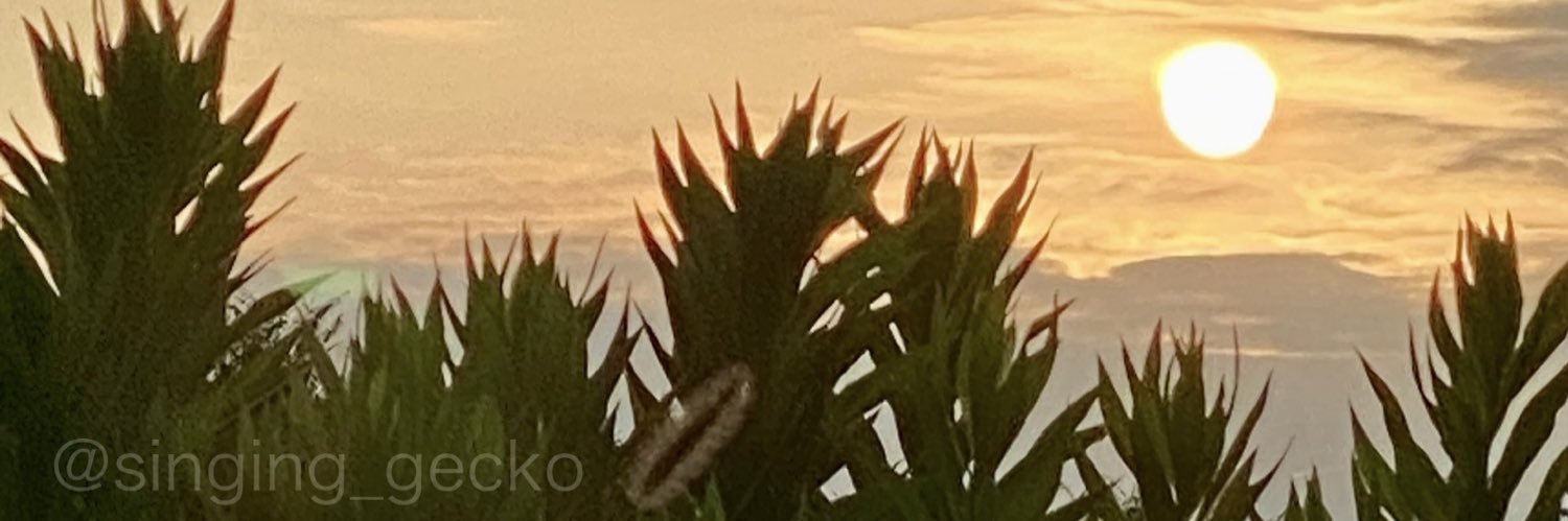 謳うヤモリ banner