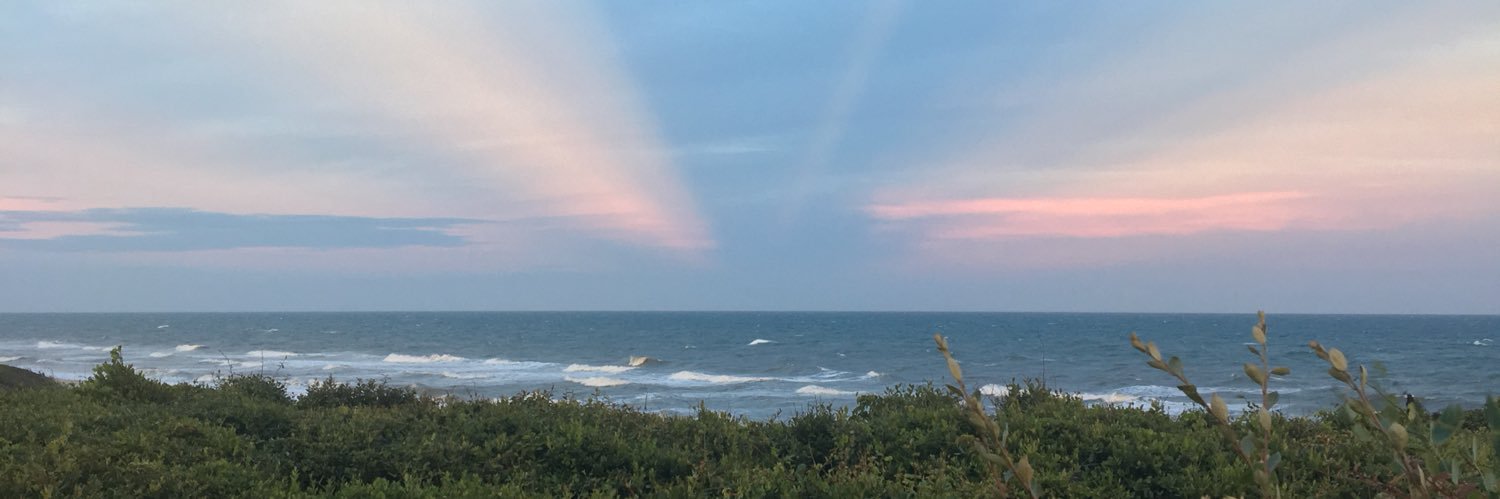 BrooksPLee's profile banner image