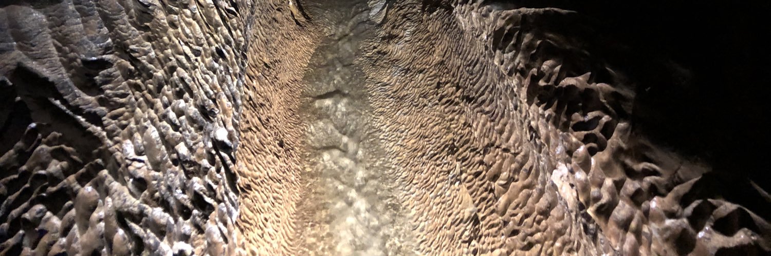 Karst Waters Institute banner