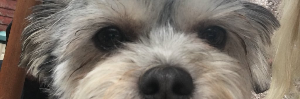 gdawg43's profile banner image