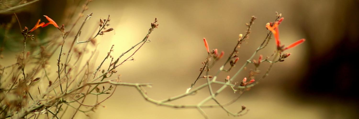AI_materialist's profile banner image
