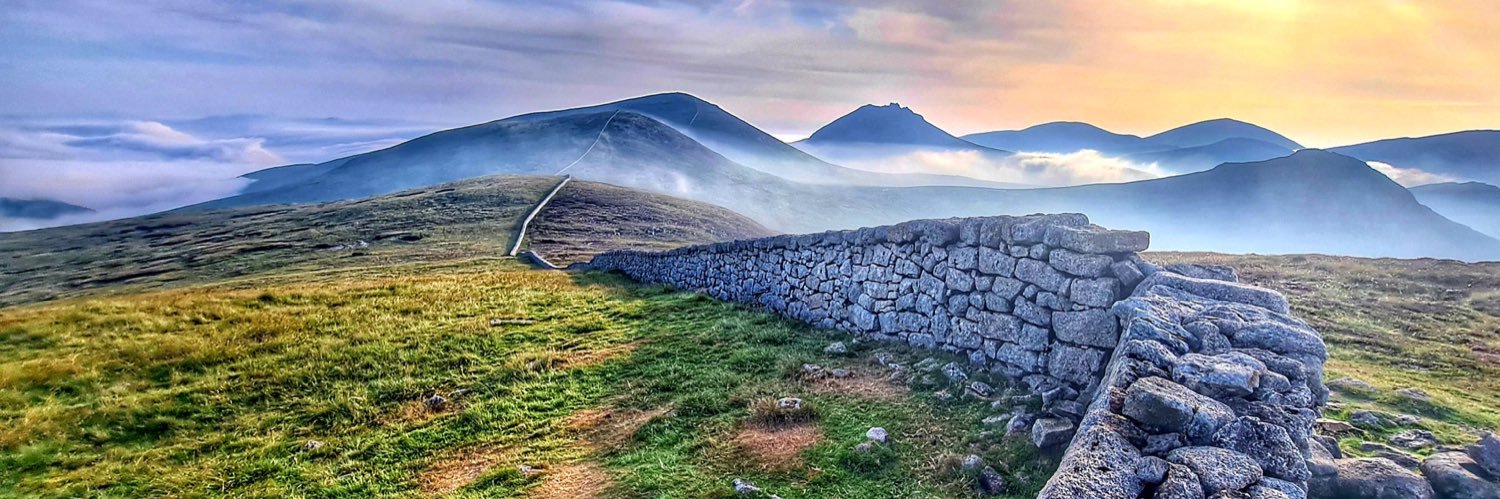 Hazel 💜🤍💚 🇮🇪 🇬🇧 banner