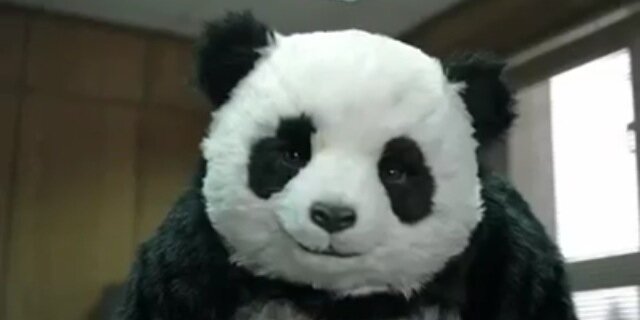Pakystain's profile banner image