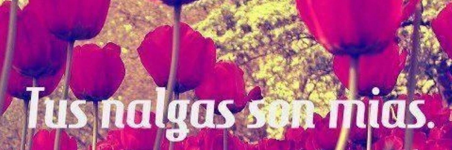 Giorgio_Qro banner