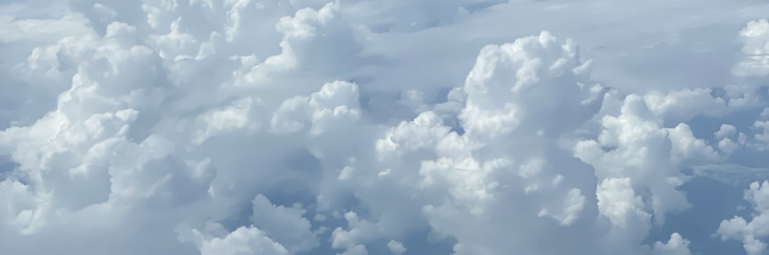 ncitncitcit's profile banner image
