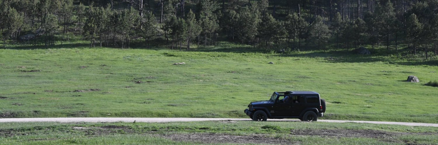 David W Adams, MBA banner