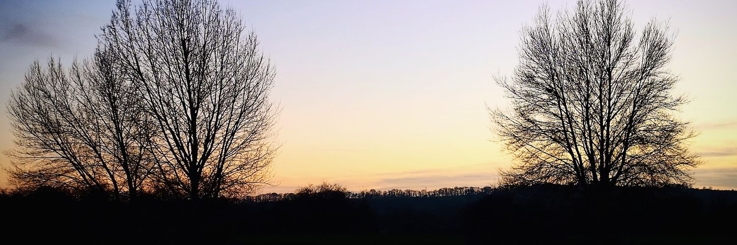 thomashobbs93's profile banner image
