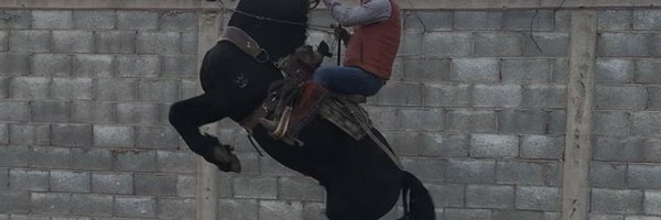Chicuritorr Profile Banner