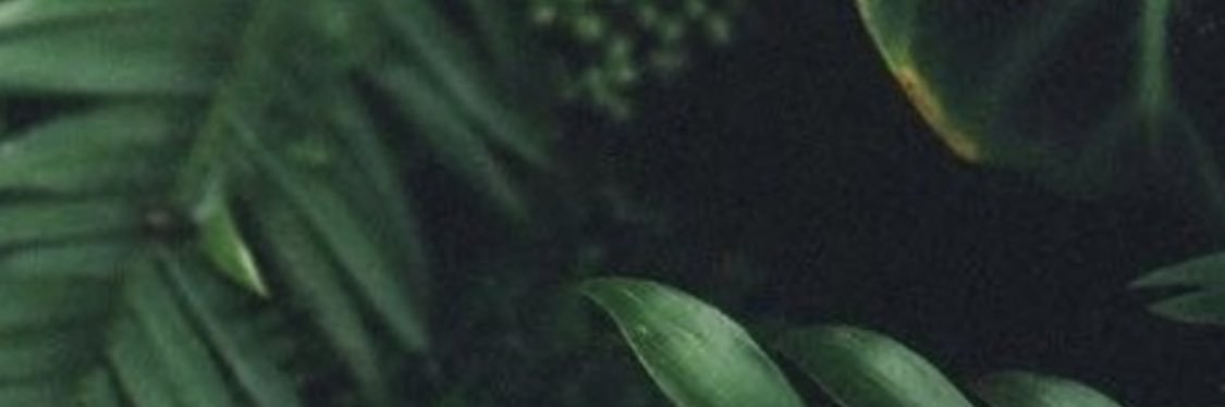 Vip_briii's profile banner image