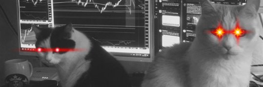 TheHedgedOne's profile banner image