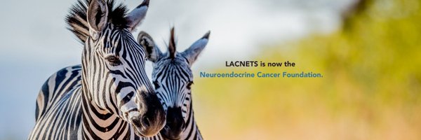 NCFCancer Profile Banner