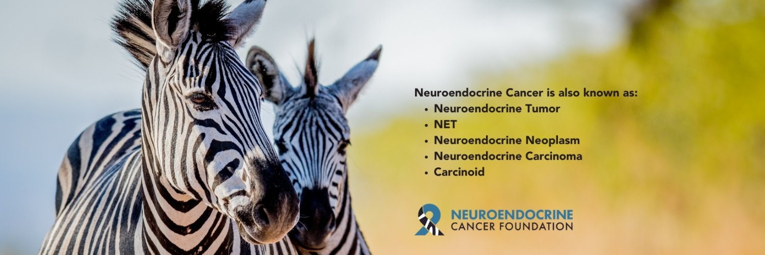 Neuroendocrine Cancer Foundation banner