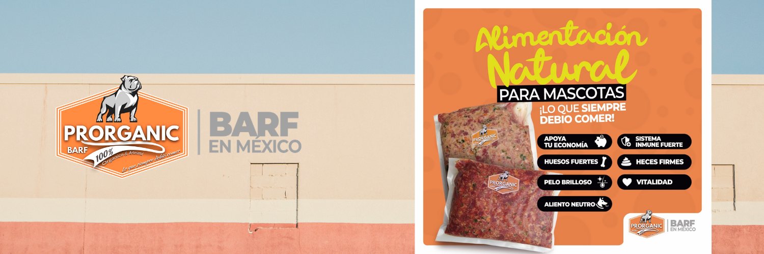 BARFenMexico's profile banner image