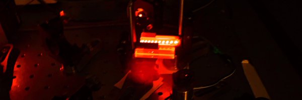 holly_c_gibbs Profile Banner