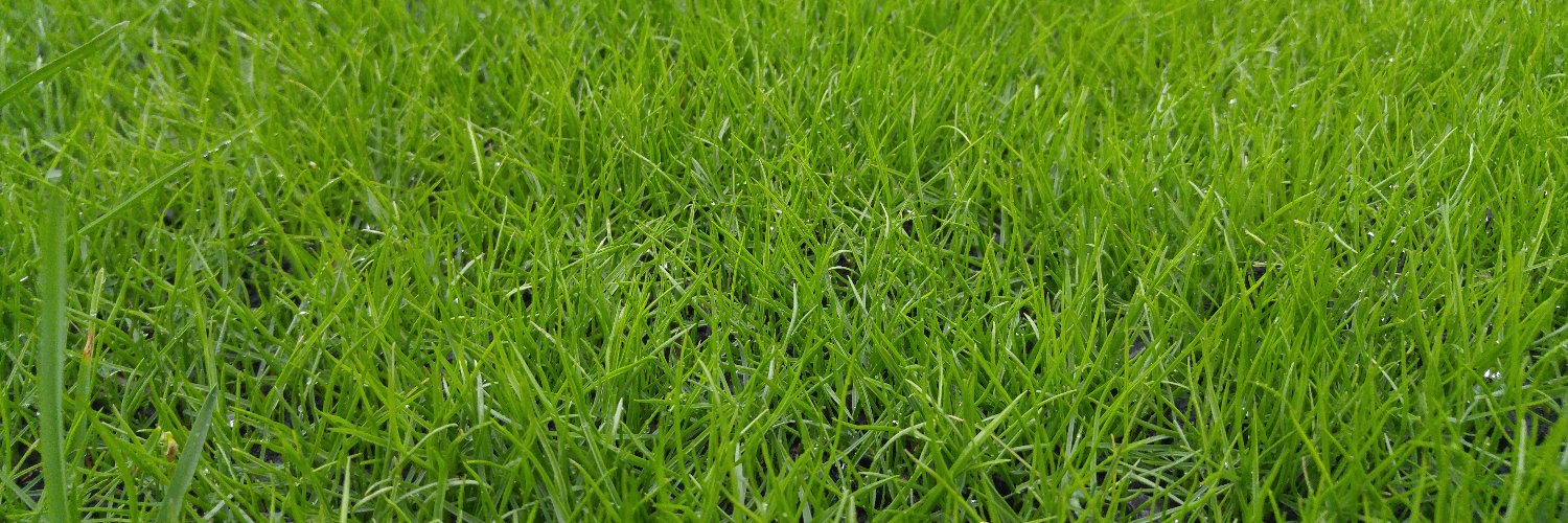 envirokingston's profile banner image