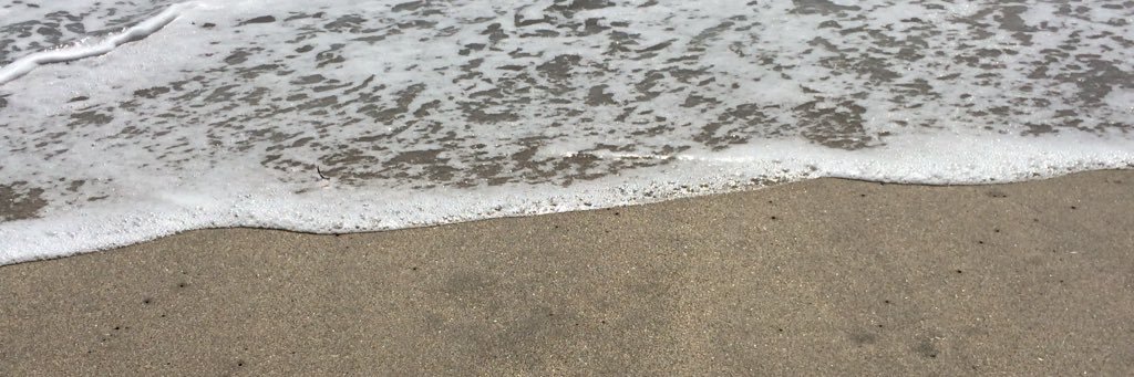 SandraFalcone's profile banner image