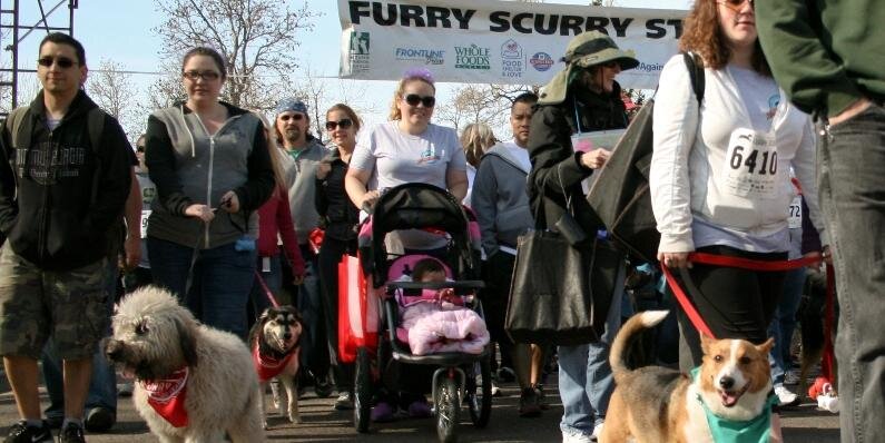 furryscurry's profile banner image