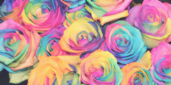 TQM_Nat's profile banner image