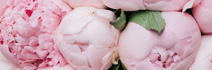 eng_mariam86's profile banner image