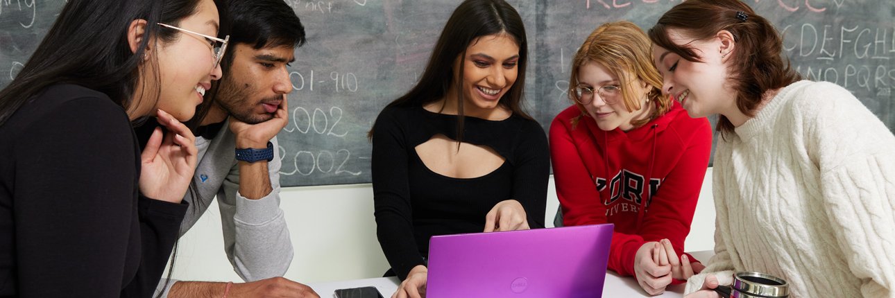 York University Education banner