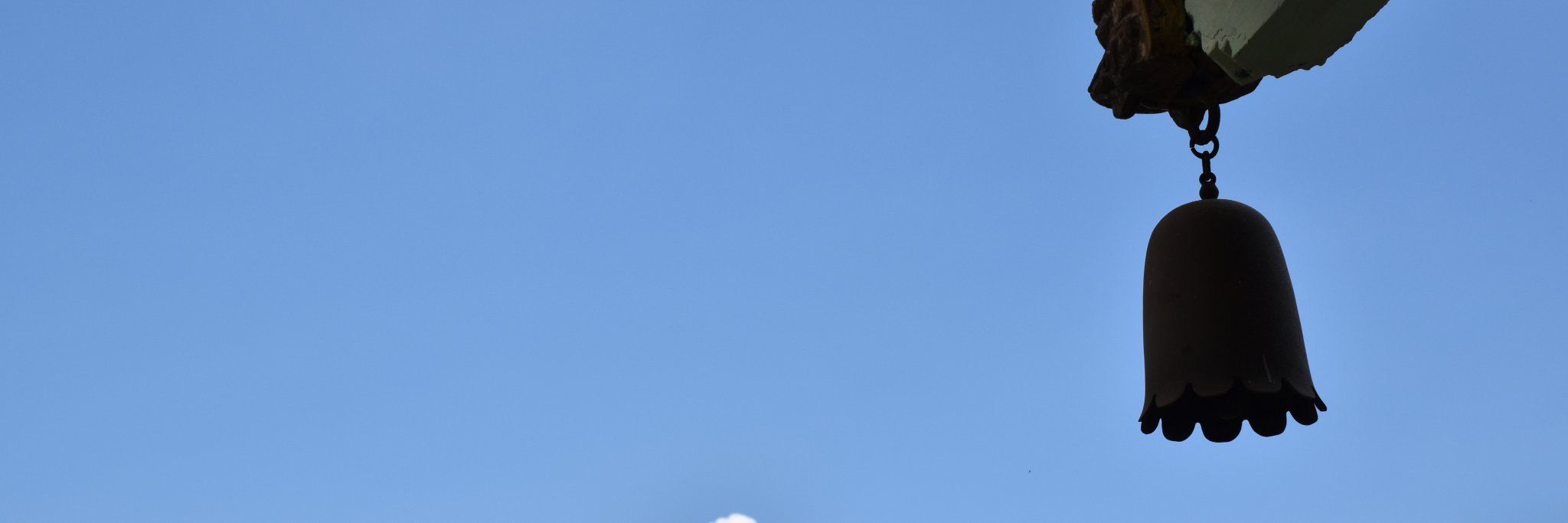 Zimbamboum's profile banner image