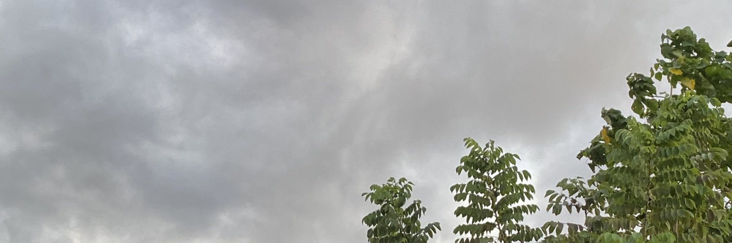 mrochelledt's profile banner image