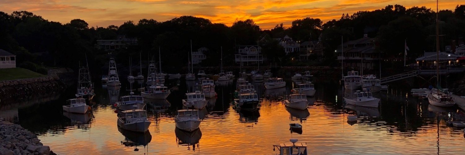 Laura Ascione banner