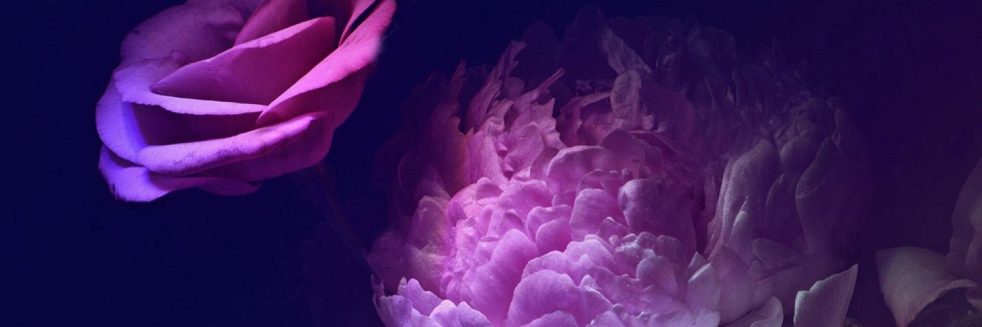 DEFStories's profile banner image