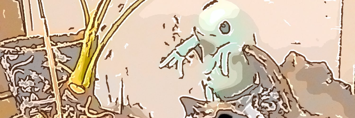 shiromesa's profile banner image