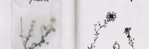 luvswifts's profile banner image
