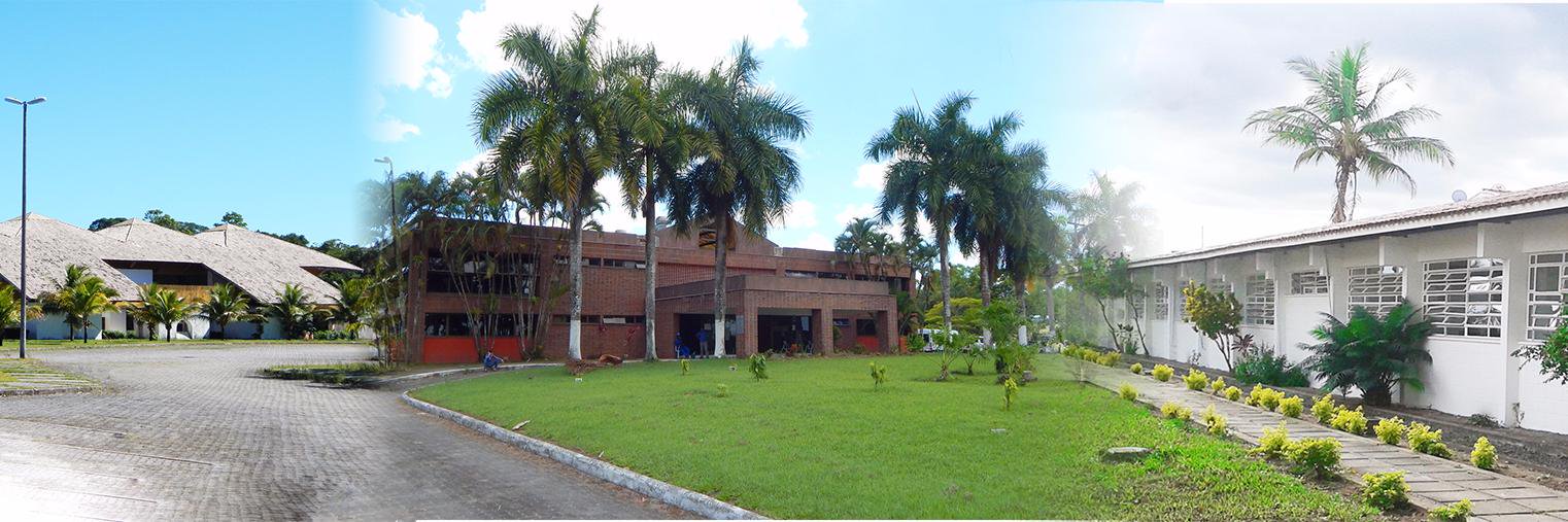 UFSB_OFICIAL's profile banner image