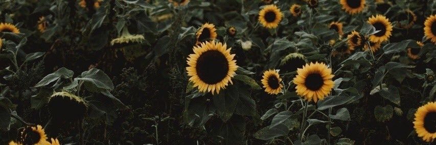 mcbv15_'s profile banner image