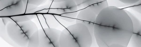 DSatapara's profile banner image