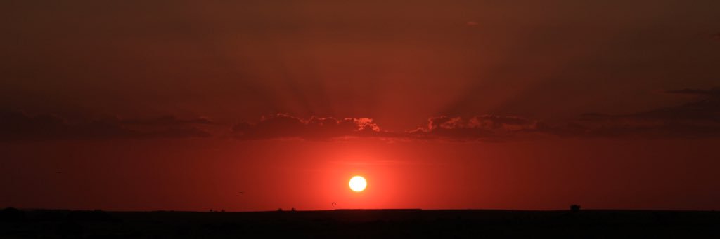 crzayediction's profile banner image