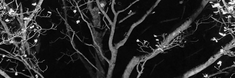 ryanevoo101's profile banner image