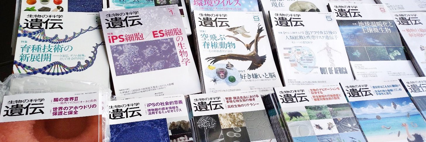 エヌ・ティー・エス【公式】 banner