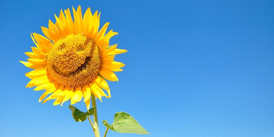 zeinnys's profile banner image