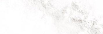 si's banner
