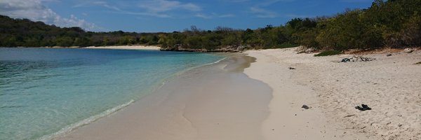 JanetDeaneLab Profile Banner