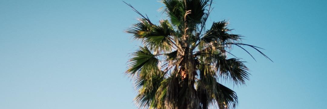 djprodege's profile banner image