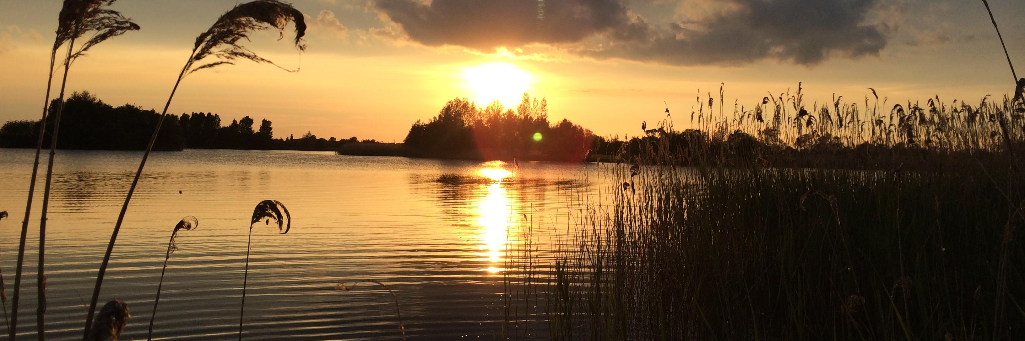 premiumcarp's profile banner image