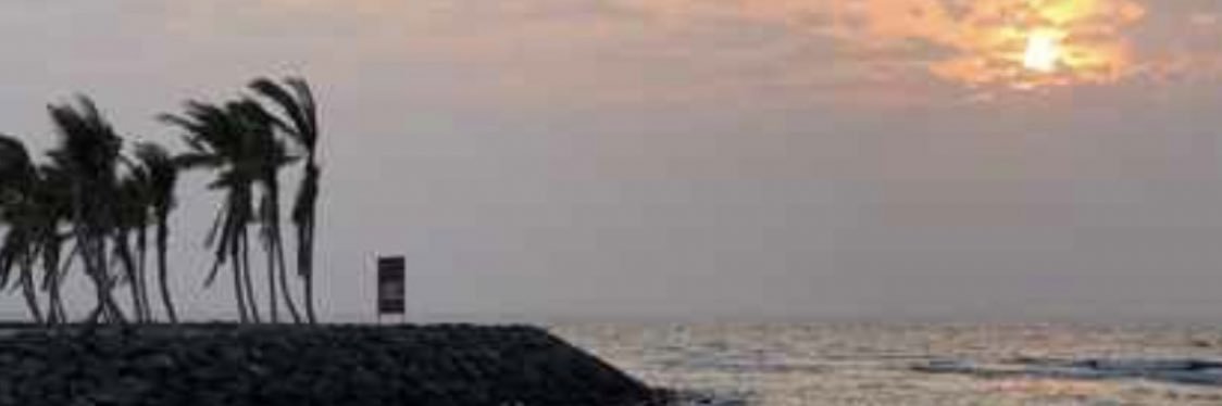 Amal_85a's profile banner image
